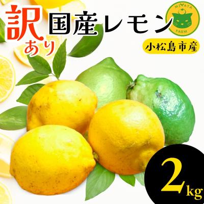 ふるさと納税 小松島市 [2026年10月発送]訳ありレモン2kg 国産 レモン 檸檬 れもん ワックス不使用 防腐剤不使用