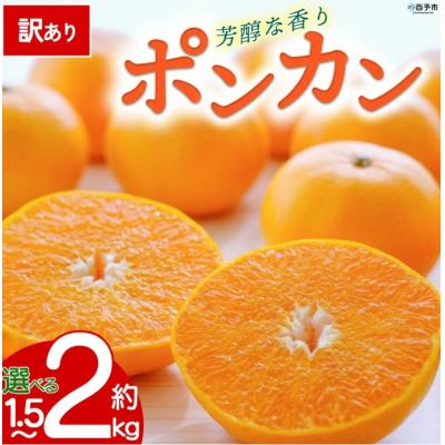 ふるさと納税 西予市 [先行予約]<訳あり 愛媛県産 ポンカン2kg>愛媛 えひめ ミヤモトオレンジガーデン