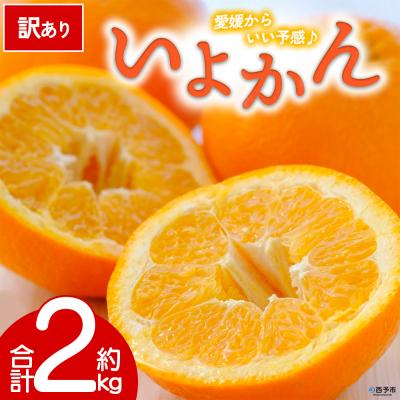 ふるさと納税 西予市 [先行受付]<訳あり 愛媛県産 いよかん 約2kg>ミヤモトオレンジガーデン えひめ
