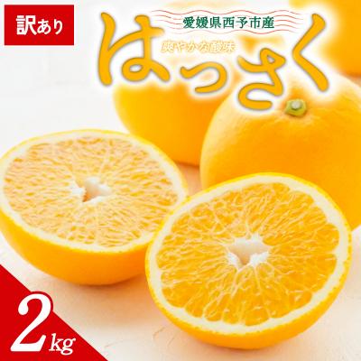 ふるさと納税 西予市 [先行受付]<訳あり 愛媛県産 八朔 約2kg>ミヤモトオレンジガーデン えひめ