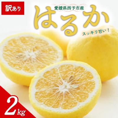ふるさと納税 西予市 [先行受付]<訳あり 愛媛県産 はるか 約2kg>ミヤモトオレンジガーデン えひめ