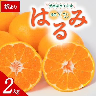 ふるさと納税 西予市 [先行受付]<訳あり 愛媛県産 はるみ 約2kg>ミヤモトオレンジガーデン えひめ
