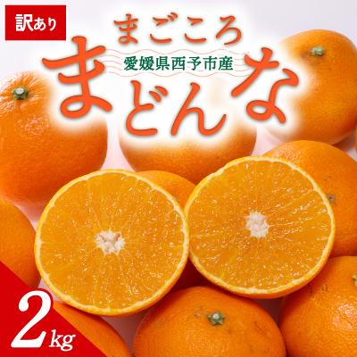 ふるさと納税 西予市 [先行受付]<訳あり 愛媛県産 まどんな 約2kg>ミヤモトオレンジガーデン えひめ