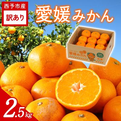 ふるさと納税 西予市 [先行受付]<訳あり 愛媛みかん 約2.5kg>ミヤモトオレンジガーデン えひめ 産地直送