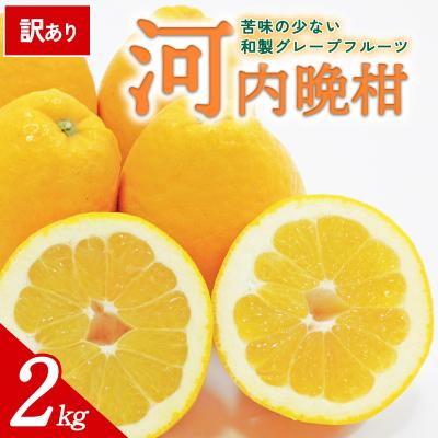 ふるさと納税 西予市 [先行受付]<訳あり 愛媛県産 河内晩柑 約2kg>ミヤモトオレンジガーデン えひめ