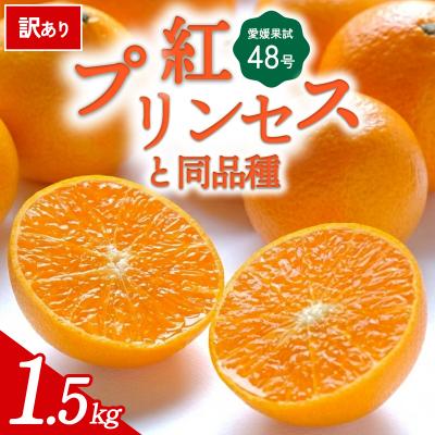 ふるさと納税 西予市 [先行受付]<訳あり 愛媛県産 愛媛果試48号 1.5kg>紅プリンセスと同品種