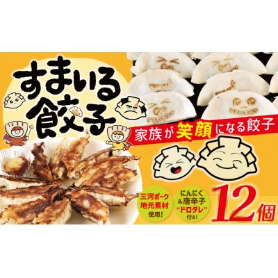 ふるさと納税 碧南市 (お試し)≪家族が笑顔になる餃子≫『すまいる餃子』 12個 餃子 三河ポーク