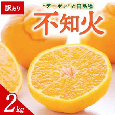 ふるさと納税 西予市 [先行受付]<訳あり 愛媛県産 不知火 約2kg>ミヤモトオレンジガーデン えひめ