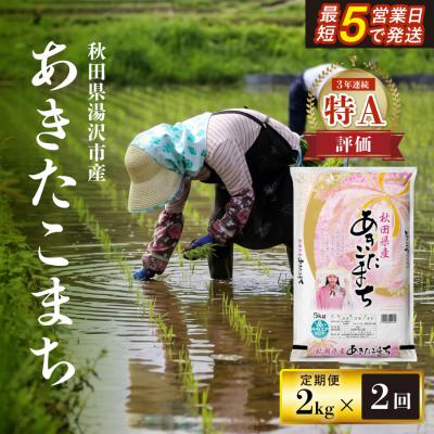 ふるさと納税 湯沢市 令和7年産 秋田県産あきたこまち 精米2kg 2ヶ月定期便[B2-17201]