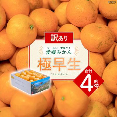 ふるさと納税 西予市 [先行受付]<訳あり 愛媛県産 極早生みかん 合計約4kg> えひめ ミヤモトオレンジガーデン
