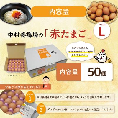 ふるさと納税 明和町 新鮮たまご 赤玉 Lサイズ 50個 中村養鶏場 ny3 |  | 01