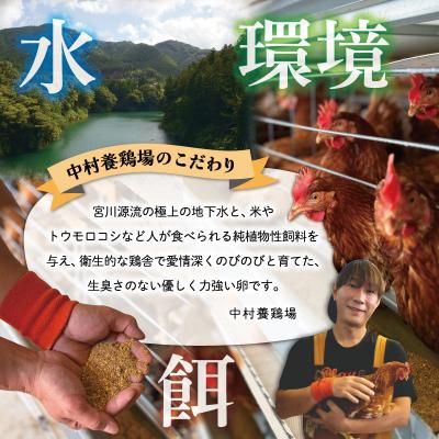 ふるさと納税 明和町 新鮮たまご 赤玉 Lサイズ 30個×3回 【定期便】中村養鶏場 ny5 |  | 03
