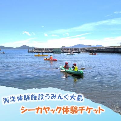 ふるさと納税 宗像市 海洋体験施設うみんぐ大島 シーカヤック体験1名様分[(株)むなかた大島]