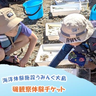 ふるさと納税 宗像市 海洋体験施設うみんぐ大島 磯観察1名様分[((株))むなかた大島]