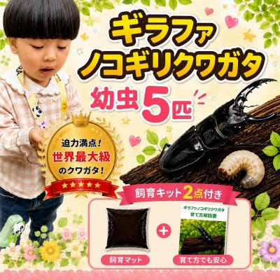 ふるさと納税 京都市 [虹色Farm]ギラファノコギリクワガタ 幼虫5匹 〜初心者の方も安心!飼育キット2点付