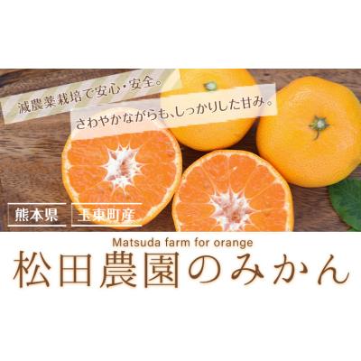 ふるさと納税 玉東町 ＼先行予約スタート/ 松田農園 みかん たっぷり 訳あり 5kg ご家庭用 [日付指定不可]