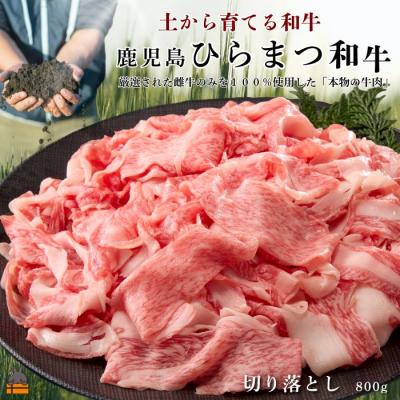 ふるさと納税 徳之島町 土から育てる和牛 鹿児島 ひらまつ和牛 切り落とし 800g