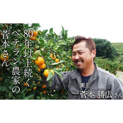ふるさと納税 玉東町 ＼先行予約スタート/ 菅本果実園 みかん 約3kg (S-Mサイズ)[11月中旬-1月中旬頃出荷]