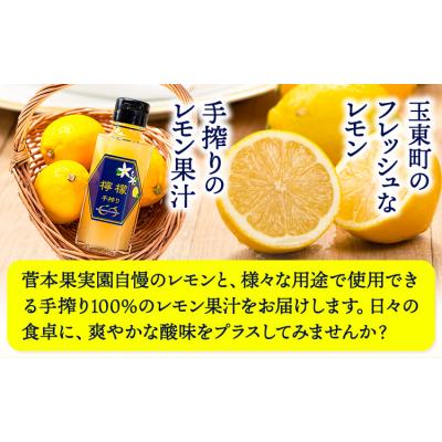 ふるさと納税 玉東町 ＼先行予約スタート/ レモン 約2kg 手搾り100%レモン果汁 1本[12月中旬‐2月末頃出荷]