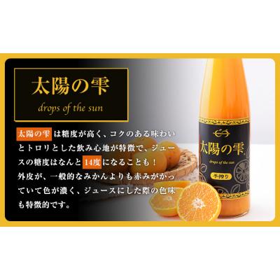 ふるさと納税 玉東町 ＼先行予約スタート/ こだわりのみかん100%ストレートジュース[11月下旬-3月末頃出荷]