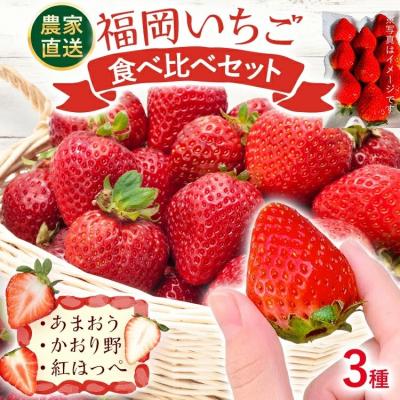 ふるさと納税 古賀市 [2027年2月より順次発送]福岡いちご3種 食べ比べセット(あまおう&amp;かおり野&amp;紅ほっぺ)2026