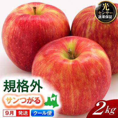 ふるさと納税 五所川原市 [2026年9月発送][規格外]りんご 2kg サンつがる[クール便] 青森県産
