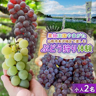 ふるさと納税 山形市 時間無制限!ぶどう狩り体験 (小学生以下2名利用) FY26-093