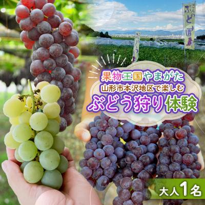 ふるさと納税 山形市 時間無制限!ぶどう狩り体験 (大人1名利用) FY26-094