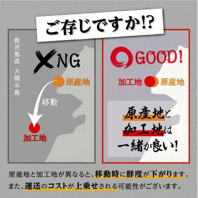 ふるさと納税 大崎町 【ヒルナンデス!で取り上げられました!】おおさきうなぎ(鹿児島県産うなぎきざみ)10袋セット |  | 01