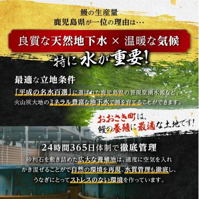 ふるさと納税 大崎町 【ヒルナンデス!で取り上げられました!】おおさきうなぎ(鹿児島県産うなぎきざみ)10袋セット |  | 02