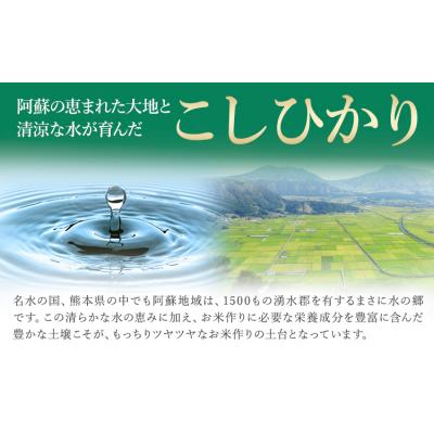 ふるさと納税 南阿蘇村 令和7年産 [隔月6回定期便] こしひかり 5kg 白米 [お申込み翌月から出荷]