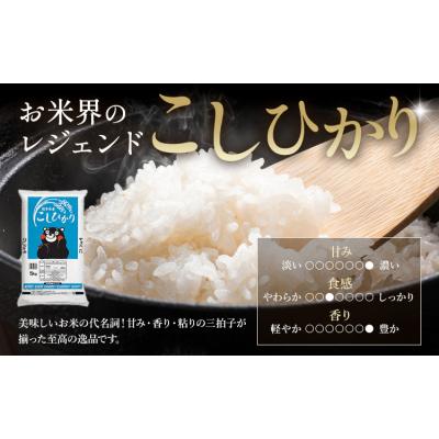 ふるさと納税 南阿蘇村 令和7年産 米 無洗米 ひのひかりこしひかり 10kg[7-14日以内に出荷(土日祝除く)]