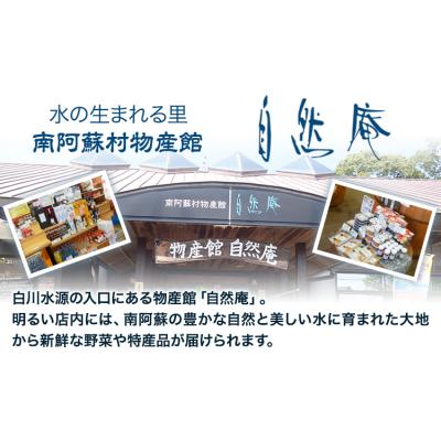 ふるさと納税 南阿蘇村 ミネラルウォーター 20L×1ケース[30日以内に出荷予定(土日祝除く)]