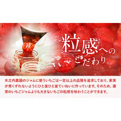ふるさと納税 南阿蘇村 木之内農園 いちごジャム 450g (150g×3本)[30日以内に出荷予定(土日祝を除く)]
