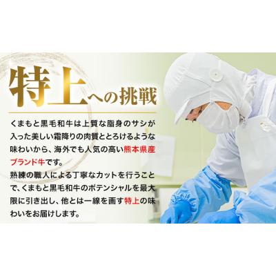 ふるさと納税 南阿蘇村 くまもと黒毛和牛 特上 スライス ウデ・モモ 500g [30日以内に出荷予定(土日祝除く)]
