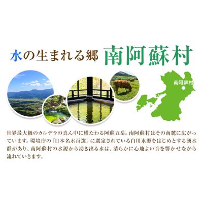 ふるさと納税 _南阿蘇村 熊本県 南阿蘇村 地域限定旅行クーポン 15,000円[寄付翌月末を目途に付与いたします]