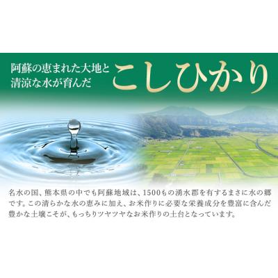 ふるさと納税 南阿蘇村 令和7年産 こしひかり 無洗米 10kg 精米 [1-5日以内に出荷予定(土日祝除く)]
