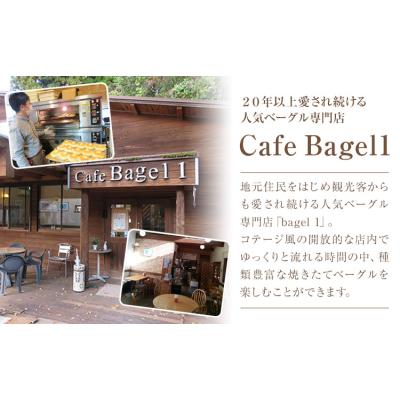 ふるさと納税 南阿蘇村 ベーグルセット 7種 10個入 ベーグル・ワン[30日以内に出荷予定(土日祝除く)]