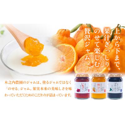 ふるさと納税 南阿蘇村 木之内農園 ジャム 3種食べ比べセット 150g×3本 [30日以内に出荷予定(土日祝を除く)]