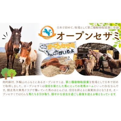 ふるさと納税 南阿蘇村 [返礼品なし]引退馬余生支援寄附 10,500円 一般社団法人オープンセサミアライブ