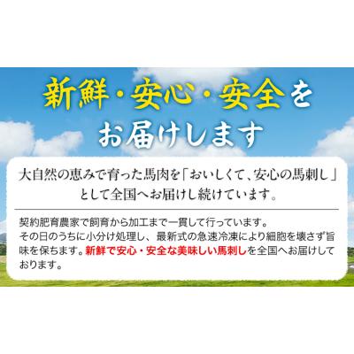 ふるさと納税 _南阿蘇村 赤身馬刺し 500g (専用醤油付き150ml×1本) [60日以内に出荷予定(土日祝除く)]
