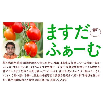 ふるさと納税 _南阿蘇村 ミニトマト アイコ 約2kg ますだふぁーむ[7月上旬-11月末頃出荷]