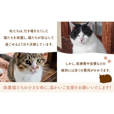 ふるさと納税 南阿蘇村 【返礼品なし】保護猫支援寄附 6,000円 一般社団法人オープンセサミアライブ |  | 03