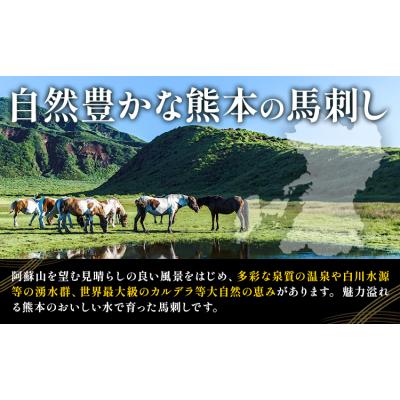 ふるさと納税 南阿蘇村 馬刺し赤身セット 200g 赤身50g × 4 [30日以内に出荷予定(土日祝除く)]