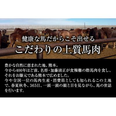 ふるさと納税 _南阿蘇村 大トロ馬刺し(50g)中トロ(霜降り)馬刺し(50g)[30日以内に出荷予定(土日祝除く)]