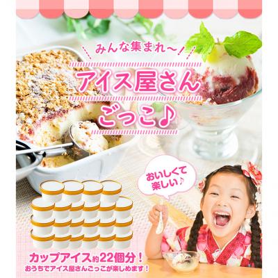 ふるさと納税 _南阿蘇村 いちご 園 ミルフィーユ アイス 2000ml [60日以内に出荷予定(土日祝除く)]