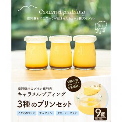 ふるさと納税 _南阿蘇村 プリン専門店 キャラメルプディング プリン3種×3個セット[60日以内に出荷予定(土日祝除く)]
