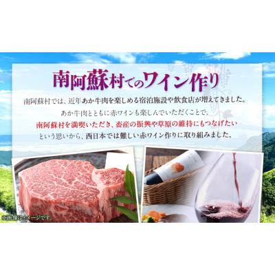 ふるさと納税 _南阿蘇村 赤 ワイン RED cow 1本 750ml[30日以内に出荷予定(土日祝除く)]