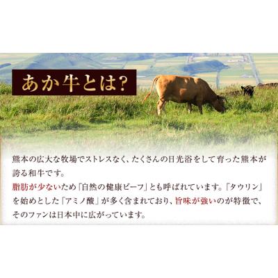 ふるさと納税 _南阿蘇村 あか牛 赤身 サーロインステーキ 熊本県産 500g[30日以内に出荷予定(土日祝除く)]