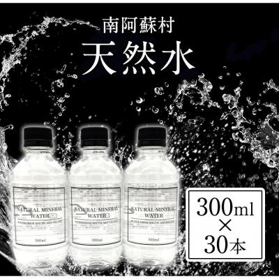 ふるさと納税 南阿蘇村 天然水 300mlボトル×30本(スタイリッシュラベル)[30日以内に出荷予定(土日祝除く)]